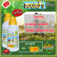 เอมม่า ปุ๋ยน้ำเอมม่า ( 500 ซีซี 2 ขวด ) ป้องกันการเกิดเชื้อราในพืช ปุ๋ยน้ำสูตรเข้มข้น เพิ่มความแข็งแรงให้กับพืช ใช้ได้กับพืช