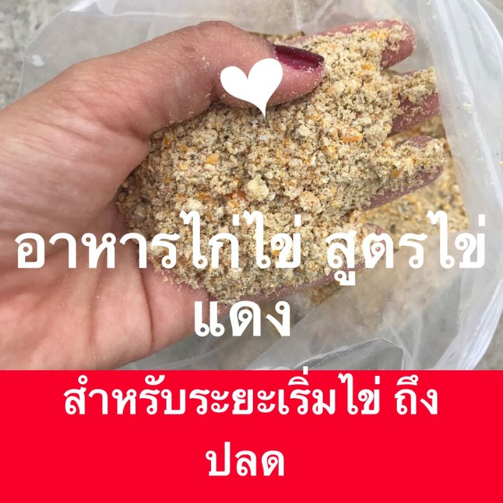 อาหารไก่ไข่-สูตรไข่แดง-โปรตีน18-ระยะเริ่มไข่ถึงปลด-ขนาด10กิโล