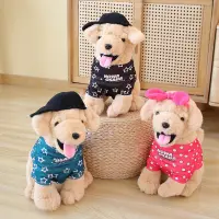 30ซม. Dog Plushie Stuff ของเล่นสำหรับสาวสุนัข Stuff ของเล่นส่วนบุคคลของขวัญไอเดียสำหรับแฟน Monthsary ของเล่นสำหรับเด็ก