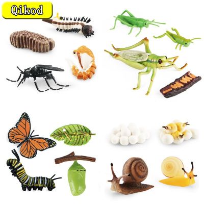 ZZOOI 2022 Animal Growth Cycle Insect Figurines Grasshopper Snail Cock Penguin Action Figures Children Cognitive Early Toys Collection