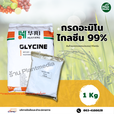 กรดอะมิโน ไกลซีน 99% Glycine Amino Acid  บรรจุ 1 กิโลกรัม
