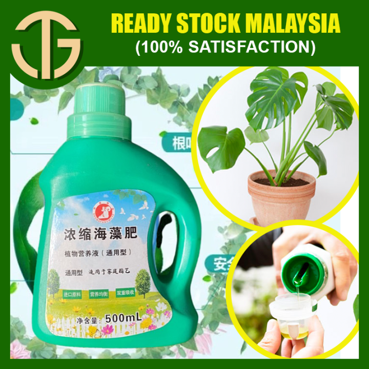 【38ml500ml】nutrient Liquid Fertilizer Concentrated Plant For Flower Houseplant Any Plant Lazada 4520