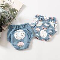 2pcs/Lot Baby Absorbent Potty Training Pant Newborn Diapers Reusable Cloth Absorbent Cover Washable Toddler Underwear Cloth Diapers