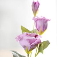 3หัวดอกไม้ประดิษฐ์ Eustoma ดอกไม้ปลอม Gradiflorus Lisianthus งานแต่งงาน Diy สำหรับตกแต่งบ้าน Darden