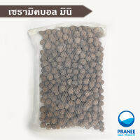 Ceramic Ball 500g. เซรามิคบอลมินิ