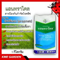 ?โรคพืช? แอนทราโคล 1 กิโลกรัม โพรพิเนบ สารป้องกัน กำจัดรา พืชคุณภาพสูง เชื้อรา สารป้องกัน กำจัดเชื้อรา