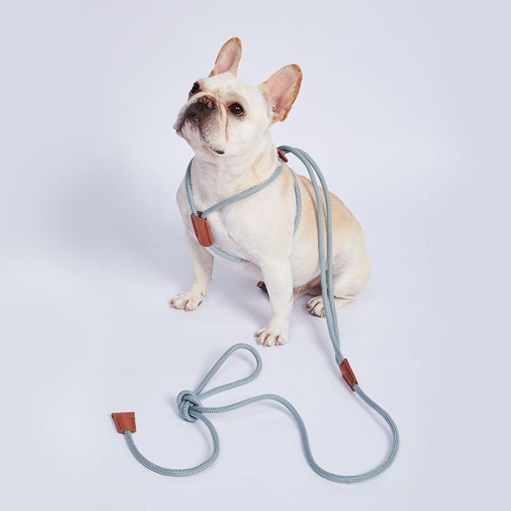 เชือกไนลอน-cawayi-สำหรับสุนัข-j09สายจูงปลอกคอสุนัขสายรัดแบบ-all-in-one-กันระเบิดสายรัดหน้าอกปรับได้อุปกรณ์สำหรับสัตว์เลี้ยงสุนัข