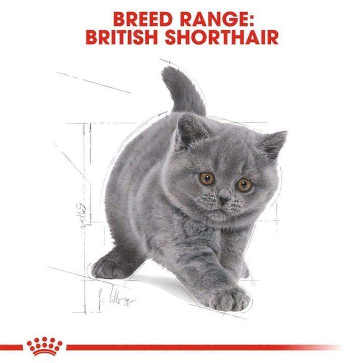 royal-canin-kitten-british-shorthair-cat-food-อาหารแมว-สูตรลูกแมว-ขนาด-2-กก