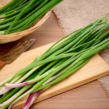 Scallion Shredders: How to Use and Where to Buy Vietnamese and Japanese  Scallion Tools