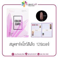 สมุดชาร์จ โชว์สีเล็บ ไม่ต้องใช้กาว Nail COLOR CARD 120เบอร์