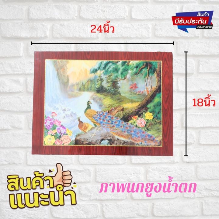 ภาพมงคล-ภาพติดผนัง-ภาพนกยูงน้ำตก-ขนาดภาพ-18x24-นิ้ว-เคลือบเรซิน-ภาพสวยเงางาม