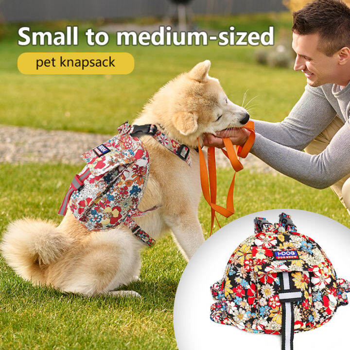 Dog backpack for on sale medium sized dogs