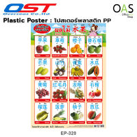 Intop By OST Plastic Poster โปสเตอร์พลาสติก สื่อการเรียนรู้ คำศัพท์ภาษาจีน ผลไม้ 50x70 cm #EP-320