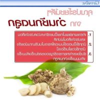 1 กิโลกรัม ว่านชักมดลูก (Temulawak) หัวสด ใช้ปลูกได้ ใช้ทานได้ (Curcuma comosa Roxb.) ชื่ออื่นๆ ว่า ว่านชักมดลูกตัวเมีย ว่านทรหด ว่านหำหด.