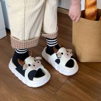 Slippers Cartoon Soft Platform Indoor Shoes Female Slides Thick Sole Sandals Male