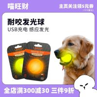 2023 ?Hot Sale LaRoo Pet Luminous Dog Toy Ball Walking the Dog at Night Rechargeable Color Tour Toy Resistant to Grinding Teeth ???