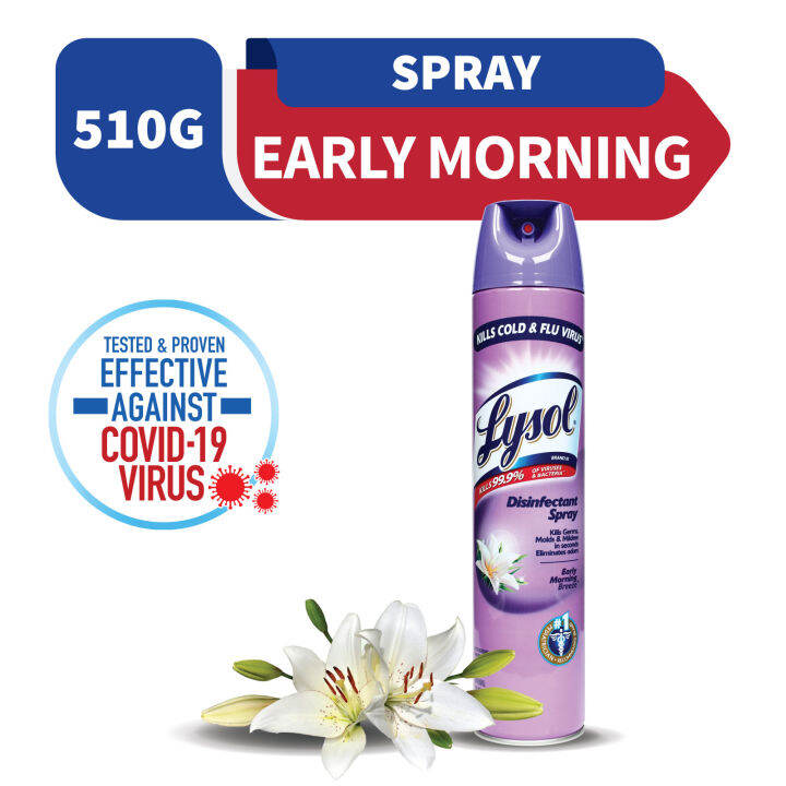 Lysol Disinfectant Spray Early Morning Breeze Scent 510g Lazada Ph 2595