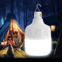 Portable Camping Lights Rechargeable Led Light Camping Lantern Emergency Bulb High Power Tents Lighting Camping Equipment Bulb.