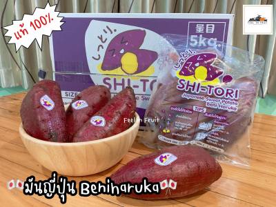 🍠✨มันหวานญี่ปุ่น Beniharuka (1 กก.) แท้ 100% {ไซส์ M } ส่งตรงจากJapan🎌หวาน เนียนนุ่ม ชุ่มฉ่ำ