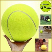 New Product Funny Practical Pets Cat Dog Inflatable Tennis Ball Play Toys for Large Dogs Cats Chew Toy Pet Products 24cm