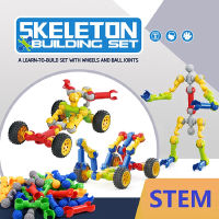 Skeleton Building Blocks ชุด DIY Creative Model Assembly อิฐของเล่นเด็กบล็อกตัวต่อเพื่อการศึกษา STEM ของเล่นเพื่อการศึกษา Gifts