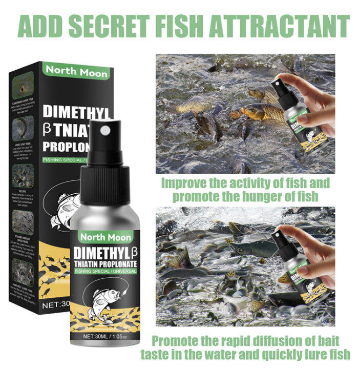 kansheng Effective Fish Bait Enhancer for Angling Adventures Lazada PH