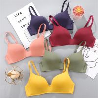 【CC】 Push Up Thin Piece Seamless Breathable Gather Student Bralette