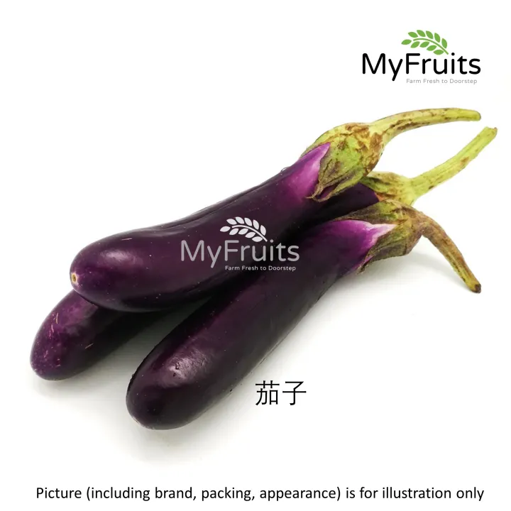 Eggplant per pack ±100g Lazada