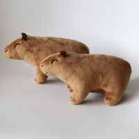 【Hot sales】 สินค้าใหม่ข้ามพรมแดน CapybaraRodent Plush ชุดตุ๊กตาการ์ตูนตุ๊กตาหนูตะเภาน้ำ