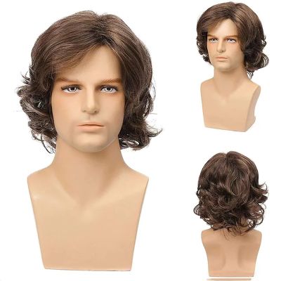 【jw】☊◇❧ HAIRJOY Man Synthetic Hair Short Layered Wig Male Curly Wigs