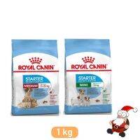 ด่วนโปร ส่งฟรี Royal Canin Medium Starter / Mini Starter ขนาด 1kg แพ็คเก็จบริษัท