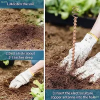 SUPE Electroculture เสาไม้สวนสวนปลูกผักลวดขดลวดทองแดงเพื่อการเพาะเลี้ยงพืชด้วยไฟฟ้า