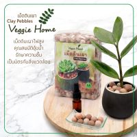 เม็ดดินเผา Clay Pebbles คละสี โรยหน้าดิน ปลูกไม้น้ำ หยดน้ำมันหอมระเหย Veggie Home