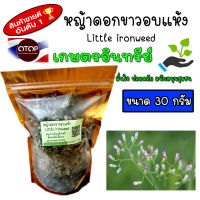 หญ้าดอกขาว หญ้าดอกขาวแห้ง หญ้าหมอน้อย ขนาด 30 กรัม Little ironweed ปลูกระบบอินทรีย์ ปลอดภัยจากเคมี อบด้วยพลังงานแสงอาทิตย์