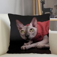 (All Inventory) Music Customized Sphynx Cat Pillow Case Home Decoration 45X45cm Zipper Square Pillow Case Throwing Pillow Shipping 04.24 (Contact Information) The seller to support free customization. The pillow is designed with double-sided printing.