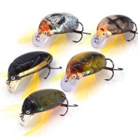 【hot】 Makebass Artificial Beetle Fishing Bait Insect Lures Sea beetit crank 35 Bass Hard bait Tackle