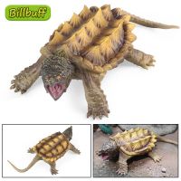 Realistic Reptile Animal Sea Turtle Snapping Turtle Figurines Action Figures Model Collection Educational Toy ​For Children Gift