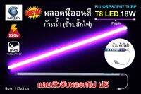 หลอดนีออน LED T8 สีม่วง เสียบปลั๊กได้เลย กันแดด กันฝน ไฟงานวัด ไฟพัด ไฟled หลอดไฟled ไฟงานแต่ง ไฟงานบวช