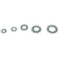 DIN6798A M2.5 M3 M4 M5 M6 M8 M10-30M 304 Baja Tahan Karat Pencuci Gasket Bergigi Eksternal Kunci Pencuci Bergerigi