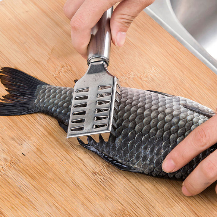 เครื่องปอกเกล็ดปลาแบบสแตนเลสทำความสะอาดผักผลไม้อย่างรวดเร็วเครื่องขูดผิวปลาเครื่องมือขูด