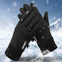 【hot】❈✻  Warm Fingers Cycling Outdoor Motorcycle Ski Fleece Gloves