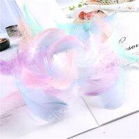 100pcs Feathers 4-8cm 1-2 Inch Small Floating Feather Colourful for Decoration Plumes