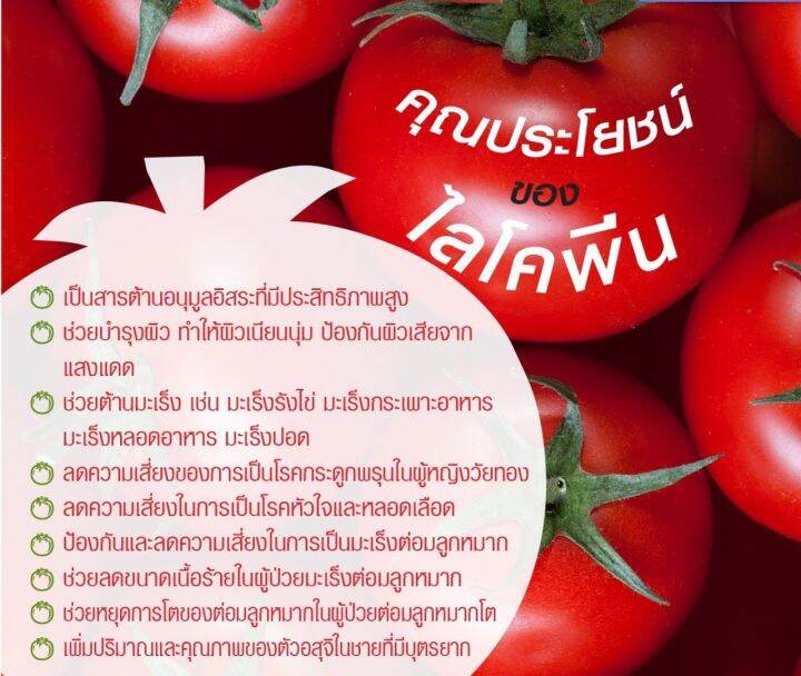 ไลโคปีน-กิฟฟารีน-สารสกัดจากมะเขือเทศ-lycopene