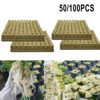 50/100Pcs Grow Starter Cubes Plug Hydroponic Grow Media โคลน Planters