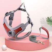 【FCL】✾ Dog Harness Leash Set Adjustable Small Large Reflective Mesh Chest Accessories
