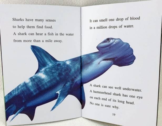 i-can-read-ranger-rick-หนังสือภาษาอังกฤษหัดอ่านของเด็กๆ-ระดับประถมศึกษาค่ะ-มาพร้อมรูปประกอบสวยงาม-เป็นสัตว์โลกน่ารักทั้งหลาย