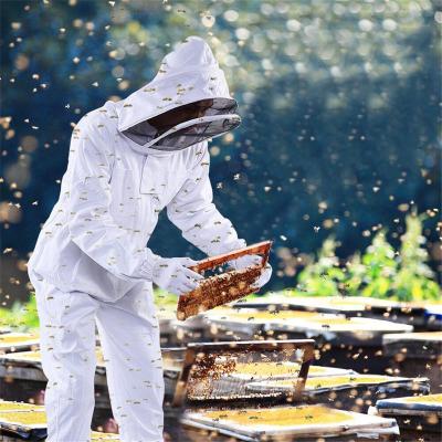 ชุดกันผึ้งเต็มรูปแบบเลี้ยงผึ้งผ้าฝ้ายมืออาชีพพร้อมผ้าคลุมหน้า2XL สีขาวบางๆ