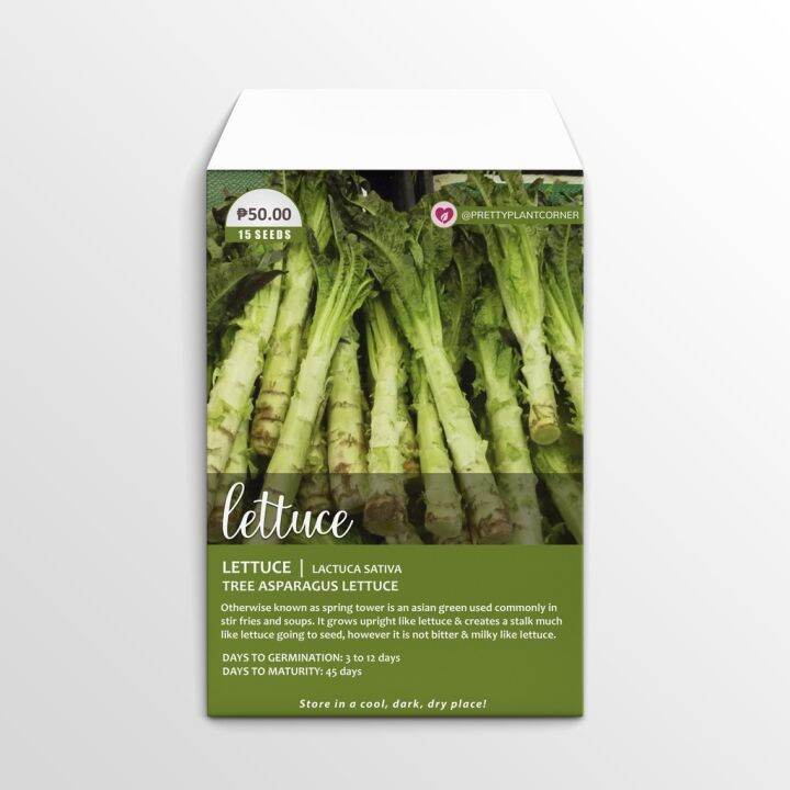 Tree Asparagus Lettuce Seeds Lazada PH
