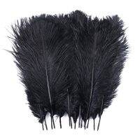 10Pcs Feathers for Crafts Wedding Decoration 15-20cm/25-30cm/30-35cm Plumes Centerpiece