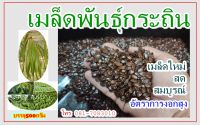 เมล็ดพันธุ์กระถินยักษ์ ผักกะเสด เมล็ดใหม่ๆ งอกดีทุกเมล็ด บรรจุ 500 กรัม